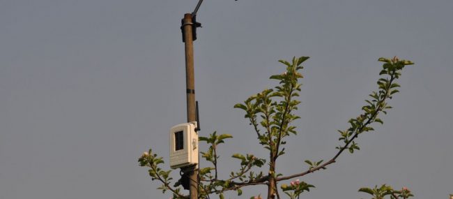 Wspieranie decyzji o nawadnianiu plantacji